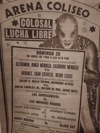 source: http://luchadb.com/posters/uploads/Rob_20251218N/Rob_20251218N_05.png