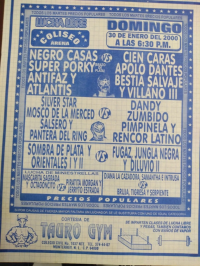 source: http://luchadb.com/posters/uploads/Rob_20251218N/Rob_20251218N_10.png