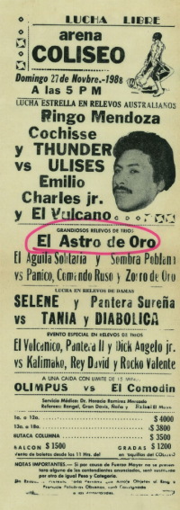 source: http://luchadb.com/posters/uploads/Rob_20251218O/Rob_20251218O_06.png