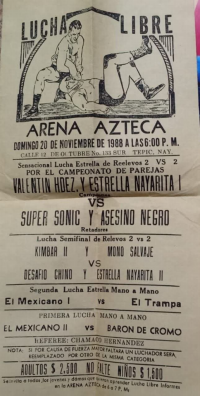 source: http://luchadb.com/posters/uploads/Rob_20251218O/Rob_20251218O_09.png