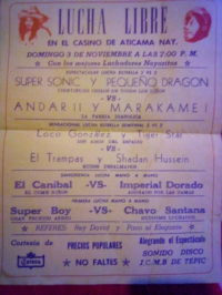 source: http://luchadb.com/posters/uploads/Rob_20251218O/Rob_20251218O_12.png