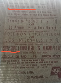 source: http://luchadb.com/posters/uploads/Rob_20251218O/Rob_20251218O_13.png