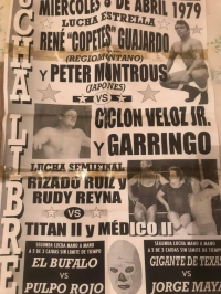 source: http://luchadb.com/posters/uploads/Rob_20251218P/Rob_20251218P_06.png