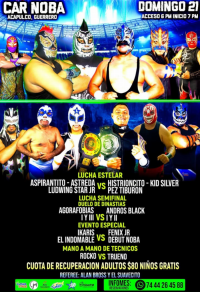 source: http://luchadb.com/posters/uploads/20251219A/20251219_06.png