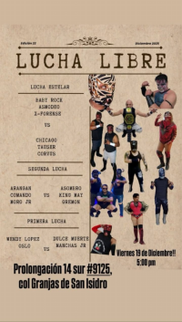 source: http://luchadb.com/posters/uploads/20251219A/20251219_10.png