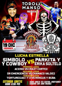 source: http://luchadb.com/posters/uploads/20251221A/20251221_05.png