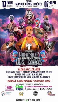 source: http://luchadb.com/posters/uploads/20251221B/20251221_03.png