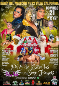 source: http://luchadb.com/posters/uploads/20251221B/20251221_11.png