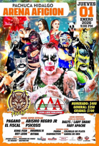 source: http://luchadb.com/posters/uploads/20251223A/20251223_20.png