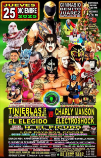 source: http://luchadb.com/posters/uploads/20251225A/20251225_06.png