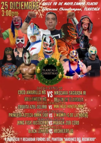 source: http://luchadb.com/posters/uploads/20251225A/20251225_16.png