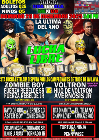 source: http://luchadb.com/posters/uploads/20251227A/20251227_15.png