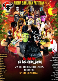 source: http://luchadb.com/posters/uploads/20251227A/20251227_20.png