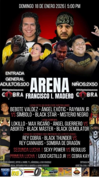 source: http://luchadb.com/posters/uploads/20260101A/20260101_03.png