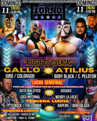 source: http://luchadb.com/posters/uploads/20260106B/20260106_12.png