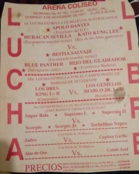 source: http://luchadb.com/posters/uploads/Rob_20260110A/Rob_20260110A_09.png