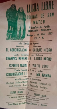 source: http://luchadb.com/posters/uploads/Rob_2026020415/Rob_2026020415_16.png
