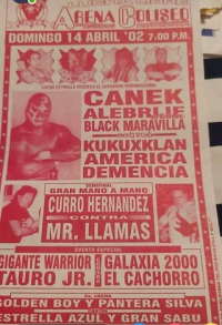 source: http://luchadb.com/posters/uploads/Rob_20260110C/Rob_20260110C_18.png