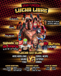 source: http://luchadb.com/posters/uploads/20260109A/20260109_11.png