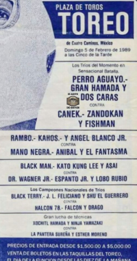 source: http://luchadb.com/posters/uploads/Rob_20260110E/Rob_20260110E_04.png