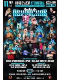 source: http://luchadb.com/posters/uploads/20260111B/20260111_08.png