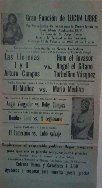 source: http://luchadb.com/posters/uploads/Rob_20260110H/Rob_20260110H_09.png