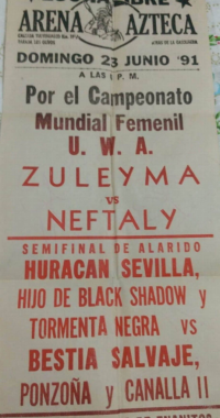 source: http://luchadb.com/posters/uploads/Rob_20260110I/Rob_20260110I_03.png