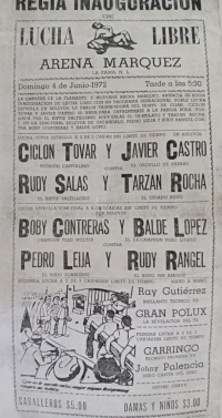 source: http://luchadb.com/posters/uploads/Rob_20260110I/Rob_20260110I_17.png