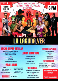 source: http://luchadb.com/posters/uploads/20260113A/20260113_15.png