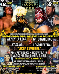 source: http://luchadb.com/posters/uploads/20260113A/20260113_17.png