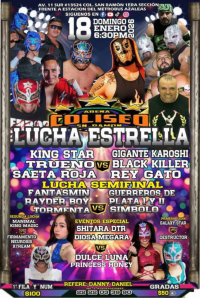 source: http://luchadb.com/posters/uploads/20260113A/20260113_18.png