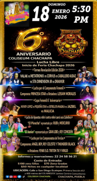 source: http://luchadb.com/posters/uploads/20260113C/20260113_05.png