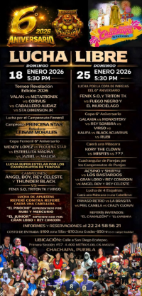 source: http://luchadb.com/posters/uploads/20260113C/20260113_05.png