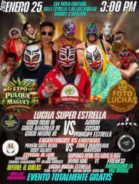 source: http://luchadb.com/posters/uploads/20260115A/20260115_16.png