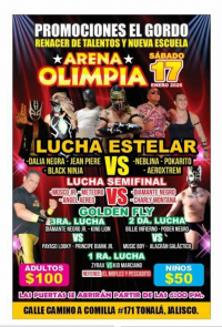 source: http://luchadb.com/posters/uploads/20260115B/20260115_14.png