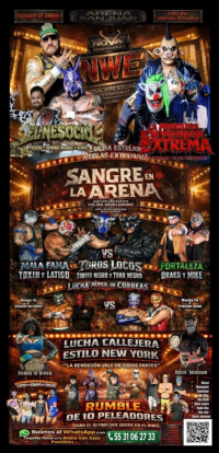 source: http://luchadb.com/posters/uploads/20260120B/20260120_10.png