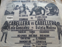 source: http://luchadb.com/posters/uploads/Rob_20260110L/Rob_20260110L_20.png