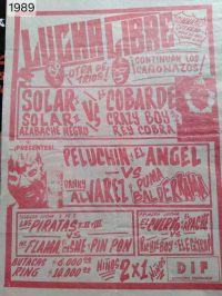 source: http://luchadb.com/posters/uploads/Rob_20260110N/Rob_20260110N_11.png