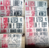 source: http://luchadb.com/posters/uploads/Rob_20260110Q/Rob_20260110Q_04.png