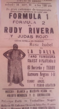 source: http://luchadb.com/posters/uploads/Rob_20260110R/Rob_20260110R_06.png