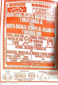 source: http://luchadb.com/posters/uploads/Rob_20260110S/Rob_20260110S_03.png