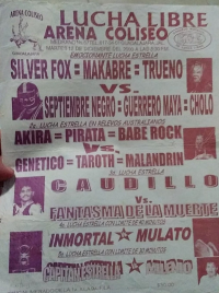 source: http://luchadb.com/posters/uploads/Rob_20260110S/Rob_20260110S_09.png