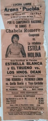 source: http://luchadb.com/posters/uploads/Rob_20260110S/Rob_20260110S_13.png