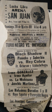 source: http://luchadb.com/posters/uploads/Rob_20260110T/Rob_20260110T_19.png