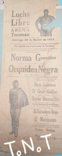 source: http://luchadb.com/posters/uploads/Rob_20260110V/Rob_20260110V_09.png