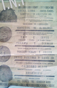 source: http://luchadb.com/posters/uploads/Rob_20260110X/Rob_20260110X_03.png