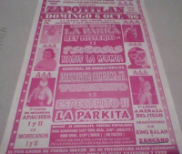 source: http://luchadb.com/posters/uploads/Rob_202601100/Rob_202601100_11.png