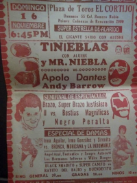 source: http://luchadb.com/posters/uploads/Rob_202601100/Rob_202601100_17.png