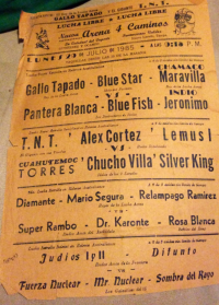 source: http://luchadb.com/posters/uploads/Rob_202601102/Rob_202601102_16.png