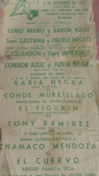 source: http://luchadb.com/posters/uploads/Rob_202601103/Rob_202601103_10.png